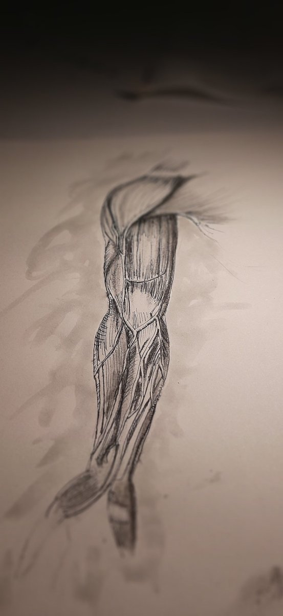 Fnb82's tweet photo. #sketching time waiting $btc bounce to the moon. If btc does not moon I will delete it (the drawing not the tweet) https://t.co/16HjmYZ9Od