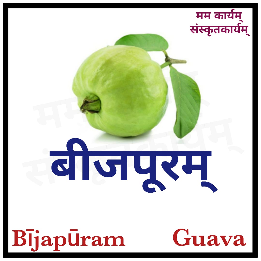 Jason Joefield tweet media