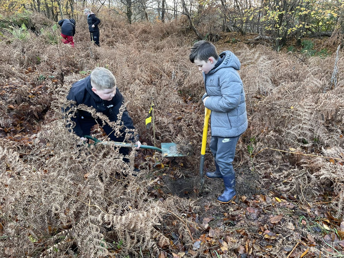 Another great afternoon of partnership work delivering the John Muir Award. Today we were planting trees how cool is this 🌳😊@Coatbridge_CLD @NLCYouthwork