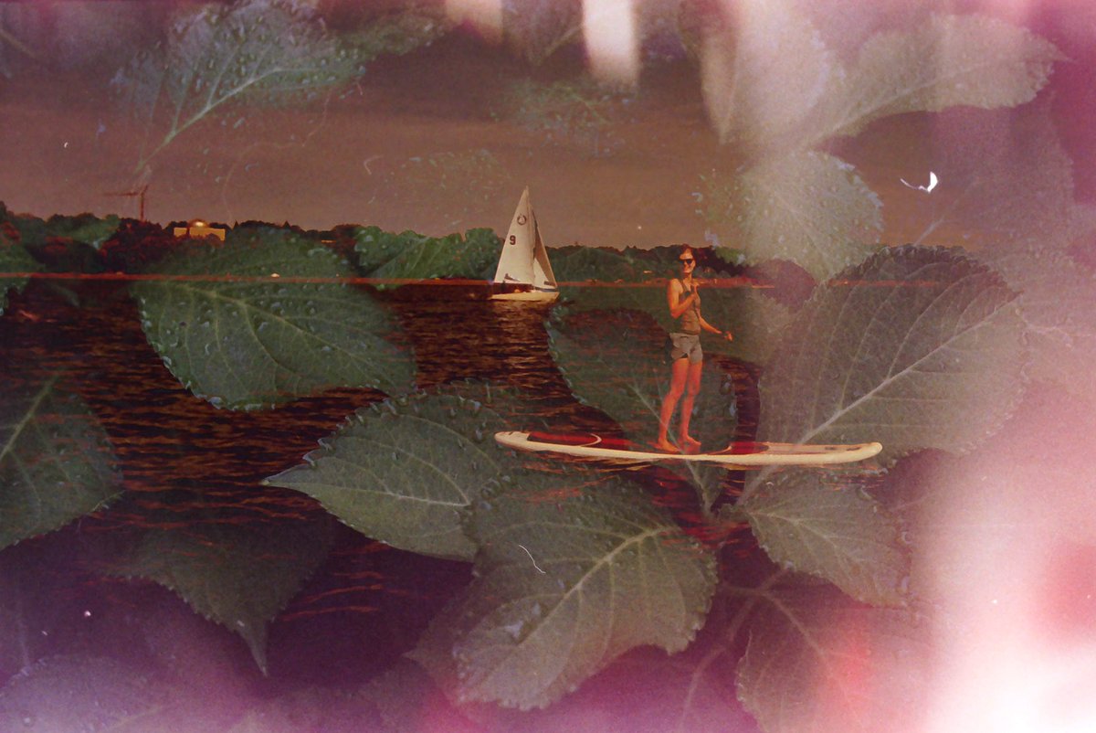 sarahdavs1's tweet image. double exposures on 35mm film