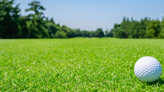 EnvuTurfUK's tweet photo. An Irish trial looking into applying preventative fungicides to avoid summer stress has been very successful. Despite challenging conditions, in areas where Signature Xtra was applied, turf remained in great condition. Read more https://t.co/AFq2y4iWbf #Turf365 https://t.co/tWD7iEOApt