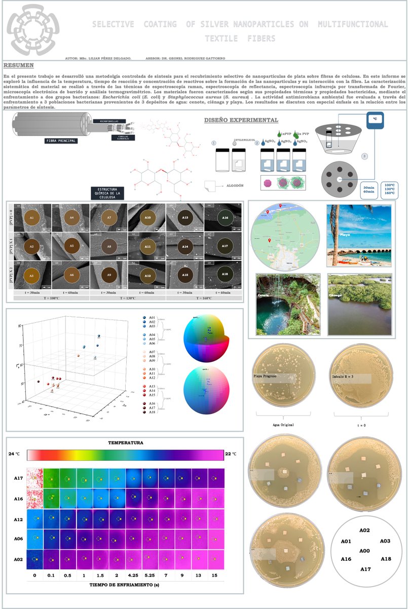 Lilixbq's tweet photo. Este es mi trabajo “Selective Coating of Silver Nanoparticles on Multifunctional Textile Fibers” 
@CINVESTAVMERIDA #FQ45
#SPFA2021
#9D
#Cinvestav https://t.co/Nm1q1XQIli