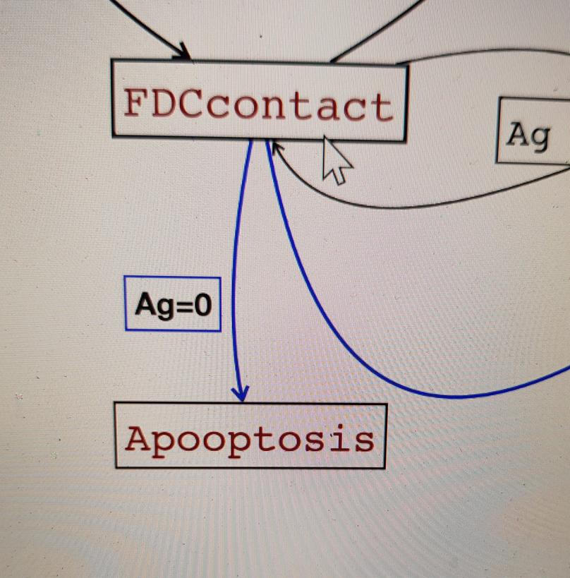 harshameghadri's tweet image. Um okay, I like this name better than apoptosis. Can we all change it please.

#letsrename #apoptosis #systemsbio