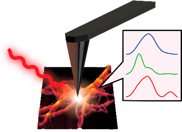JPhysChem's tweet photo. The Ghosh group at U. Alabama have used AFM-IR spectroscopy to provide new insights into the structure of tau aggregates. Morphologically similar fibrils exhibit structural polymorphism and mature fibrils can contain antiparallel beta sheets!
https://t.co/bimNw91WFx https://t.co/zbecXK8LHS