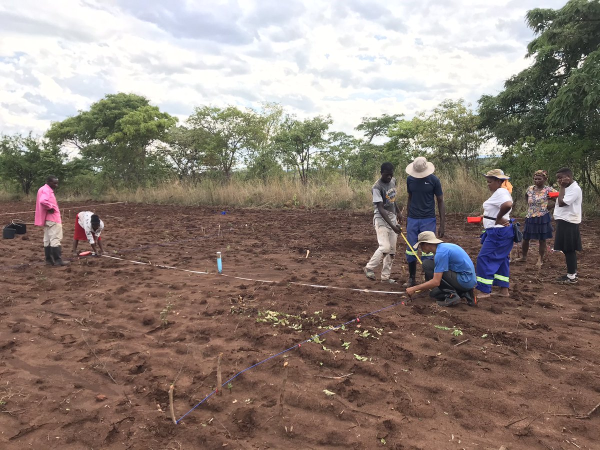 RemiCardinael's tweet photo. A long day in the field to install an all-in-one weather station #ATMOS41 & access tubes in Mutoko for Illiana’s MPhil @Cirad & Eleanor’s PhD @CIMMYT @isaiah_nyagumbo #LIPS & in Murehwa to plant trials & monitor soil moisture for Valentin’s PhD @WUR @gatien_falc @RegisChikowo 🇿🇼 https://t.co/tN9g2Rbt8p