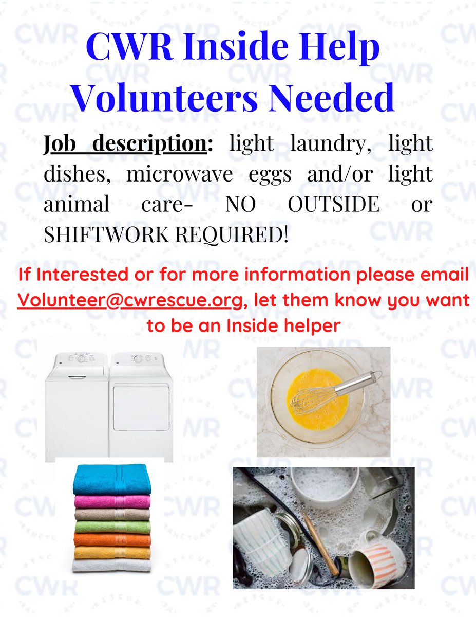 Carolina Waterfowl (@waterfowlrescue) on Twitter photo 