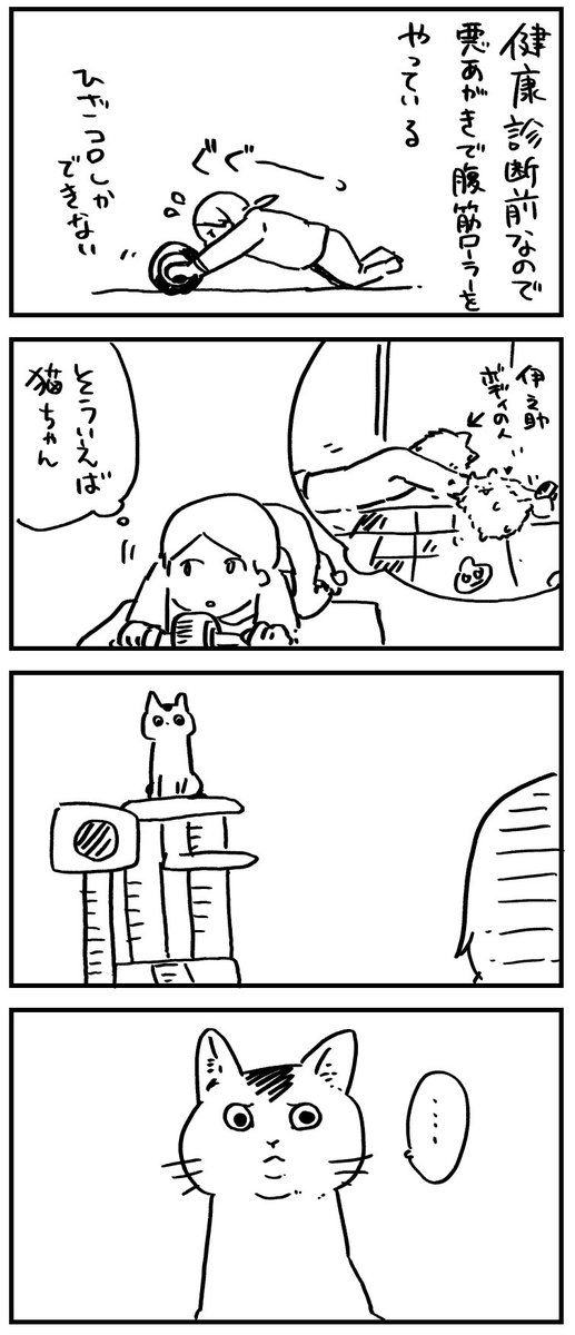 悪あがきと猫 
