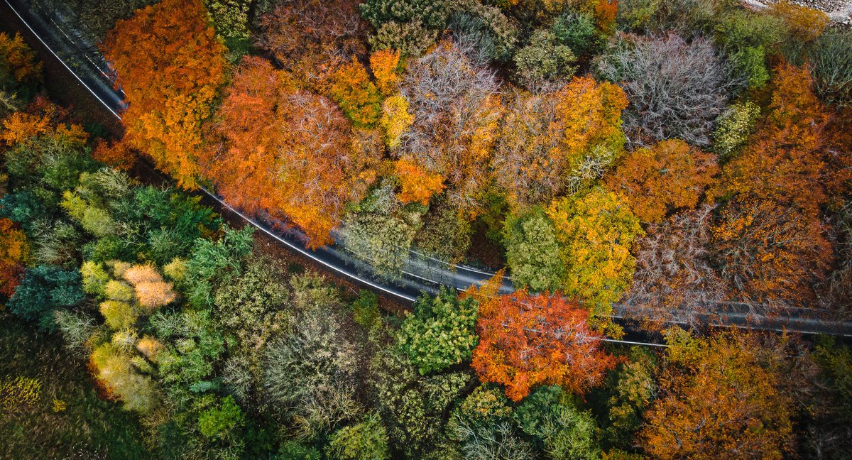 longcliffe's tweet photo. The beautiful nature surrounding our quarry 🍂🍁

Thank you to Gaz Slack for capturing these vibrant autumnal colours!
 #Longcliffe #Derbyshire #nature #AutumnFalls https://t.co/LLSk8r1x3U