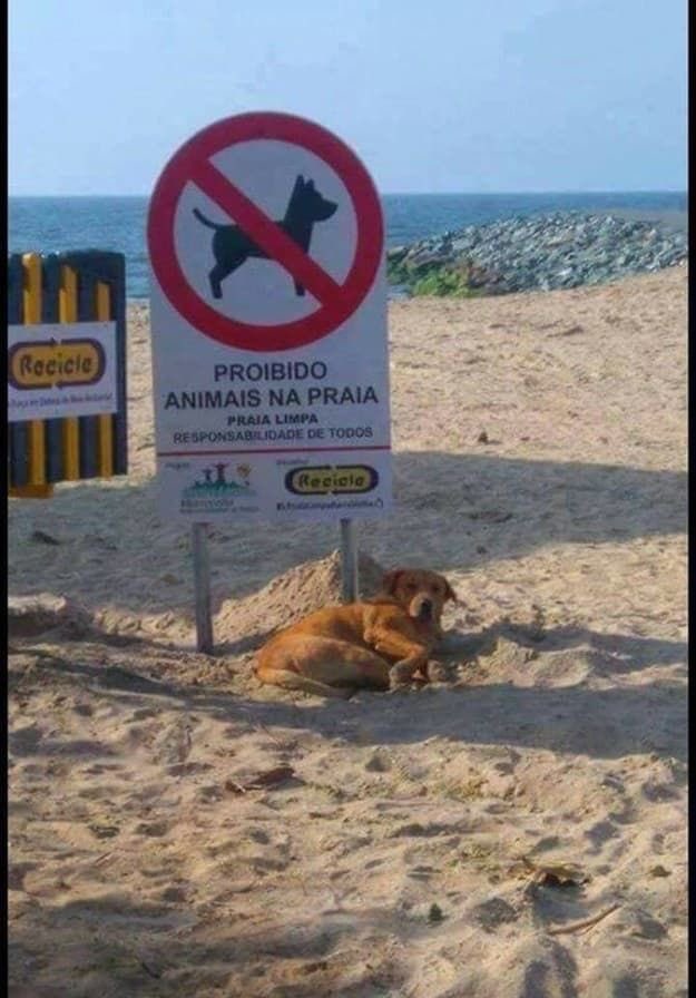 “quero ver me tirar”