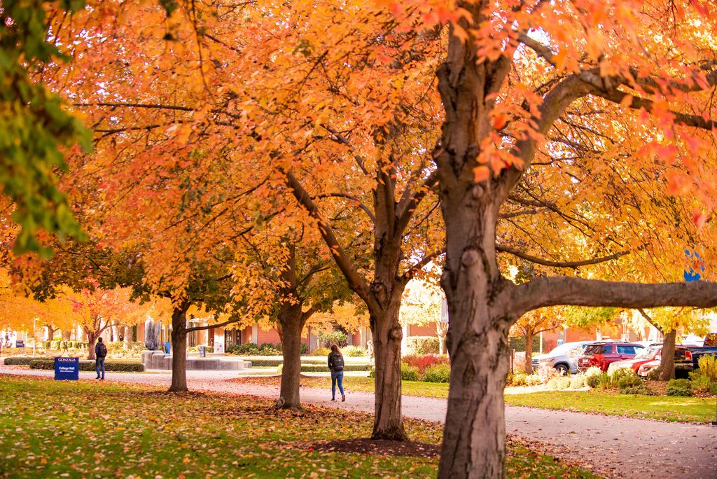 ZagFirstYear's tweet photo. Hey Zags! TODAY starts our Thanksgiving break! Enjoy the rest of the week and weekend to get prepare for the last stretch of the semester! #GoZags #BeAZag #ZagOb #HowToZag https://t.co/vHXm9c8vOJ