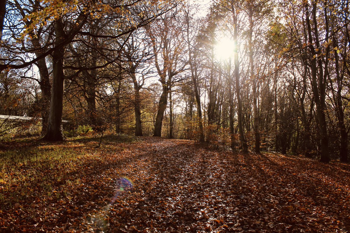derryfirst_'s tweet photo. Back at it🍂 https://t.co/E2X8DAE9rC
