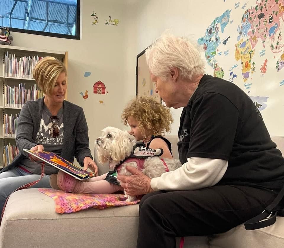 Marley's Mutts Dog Rescue tweet media