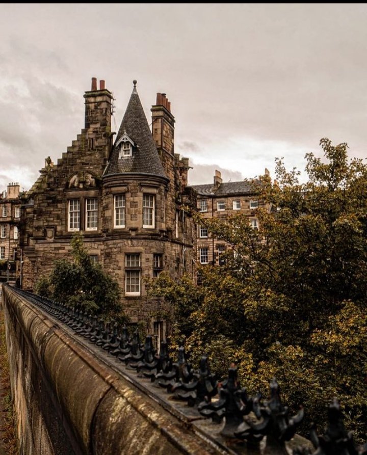 serendipity tweet media