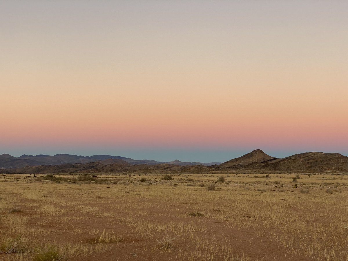 SandfonteinLodg's tweet photo. Discover the most beautiful sunsets on Sandfontein.
#Sandfontein #naturereserve #wilderness #namibia #thisisnamibia #visitnamibia #africa #landscapes #travel #namibiatravel #Nature #bucketlist #thegreatoutdoors #greatescapes #wanderlust #escapetothewilderness #wildernessretreat https://t.co/jBs4SgLO2I