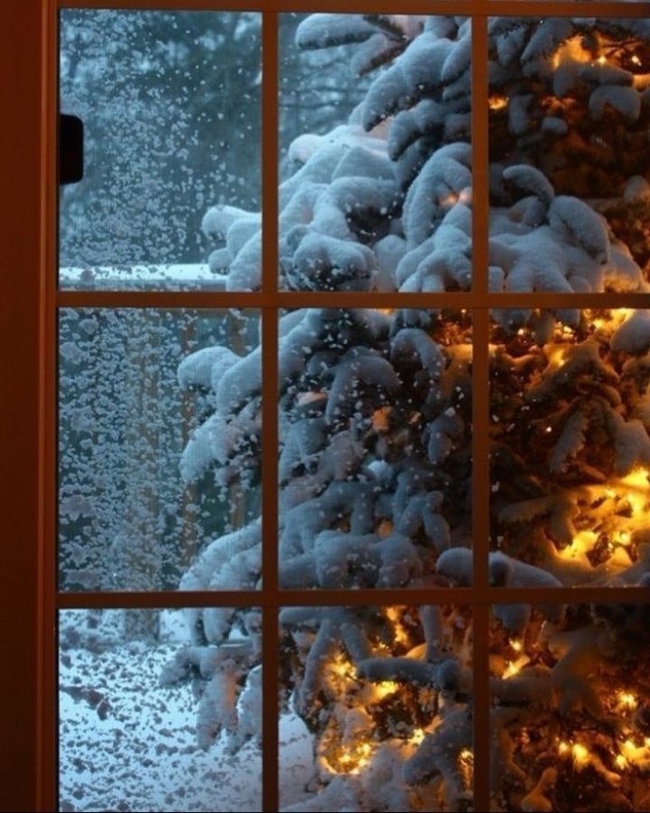 serendipity tweet media