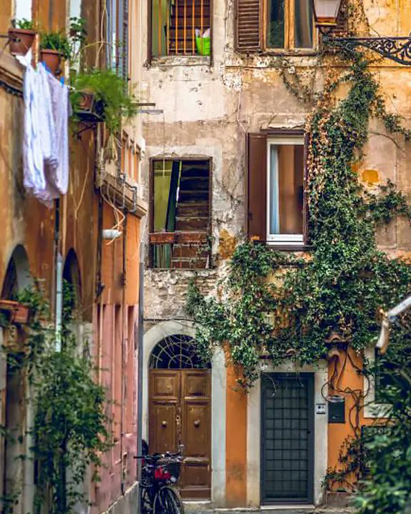 visual_standard's tweet image. “Wandering re-establishes the original harmony which once existed between man and the universe” 

– Anatole France

#italianpiazza #ilbelpaese #firenze #view #santacroce #rinascimento #explorepage #TheVisualStandard #visualstandard #visualstandardtraveler #VSmag