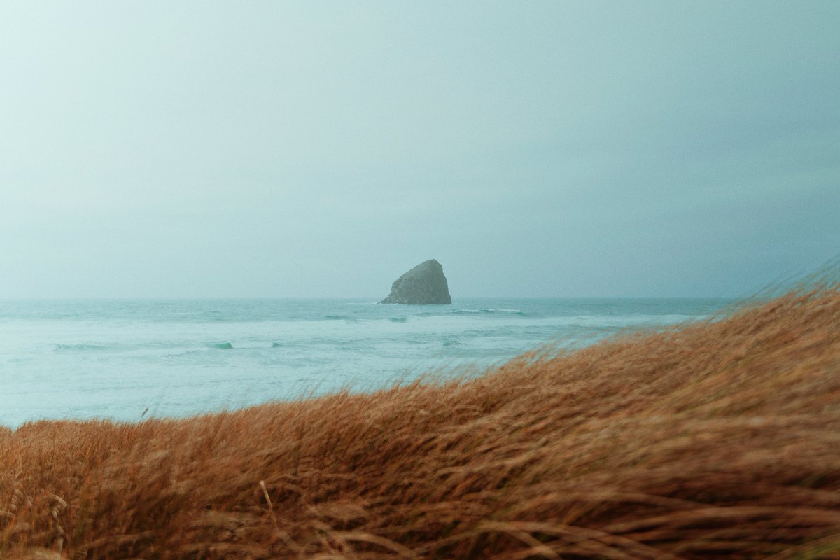 alexxhinson's tweet photo. by the sea https://t.co/rK7YC44Lj5