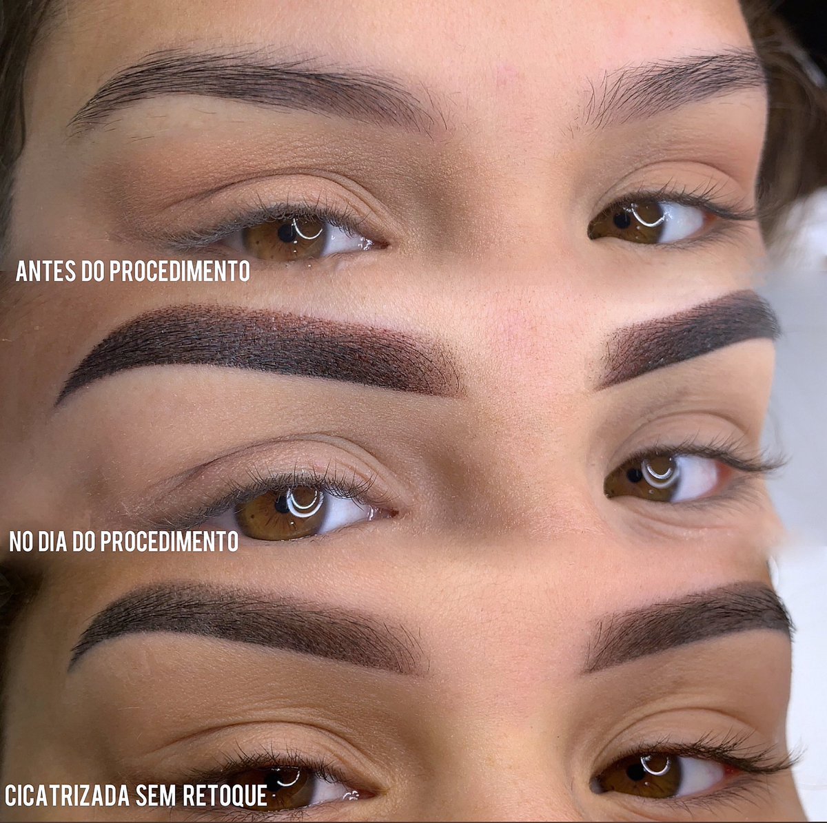 naysobrancelhas's tweet photo. Sem retoque tá?💥🥱
BABA NESSA SOMBRINHAAAAA🤤.

Pigmento: @rbkollors 

#micropigmentacao #micro #micropigmentacaoshadow #microbland #shadow #tecnicashadow #efeitomake #makeup #efeitomake #makeup #makeupoftheday #makeuplover #micropigmentacao #efeitomakeupshadow #makeup https://t.co/r0rT8raHZl