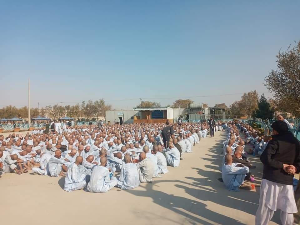 NGR170's tweet photo. اب بتائیں پیپلز پارٹی والے سندہ کس حال میں ھے
بڑی اچھی تعلیم فراہم کر رہے ہیں اتنی اچھی کہ
اسکول 🏫 سے بچوں کے لٹکے جنازے دیواروں میں چھپی سسکیاں مظلوم درد مندانہ آوازیں انصاف مانگے تو کس کے پاس جائے جہاں محترمہ بینظیر بھٹو کے قاتل تک نہ مل سکے کھتے ہیں اگلا وزیراعظم ڈوب مرو مرو https://t.co/zMfpmn2Cv9