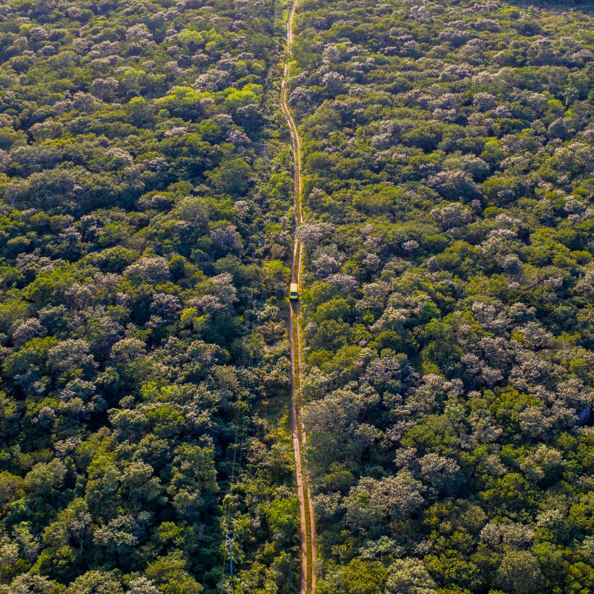 ML_Mexico's tweet photo. Como cada día, seguimos llegando a todos

- A  T O D O S -

los rincones de #México para entregar tus compras. Ahorita andamos por Tepakán 🚚🌳📦 https://t.co/dzh74lGedb