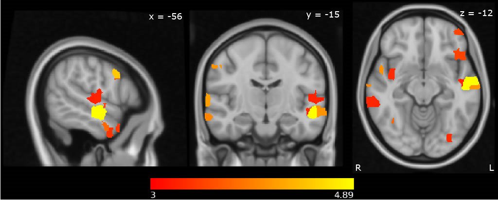 Lisa Yankowitz tweet media