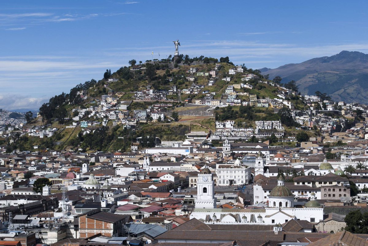 Pterodáctilo tweet media