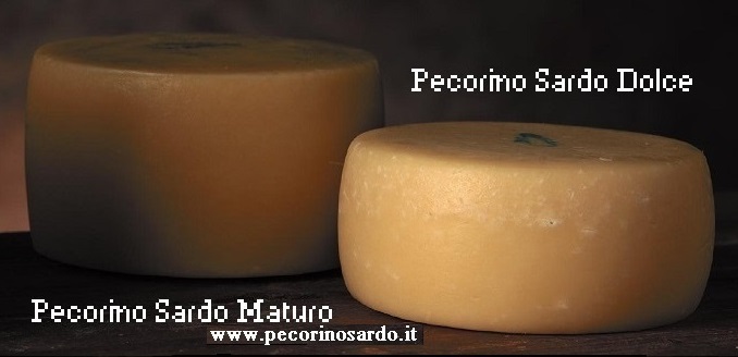 SardoDop's tweet photo. Pecorino Sardo DOP: tutto il meglio che la Sardegna può offrire. Diffida delle imitazioni e scopri come riconoscere la forma giusta su ➡️ https://t.co/pA3jiXdFA2 ☺ https://t.co/WF2wZO5pVW
