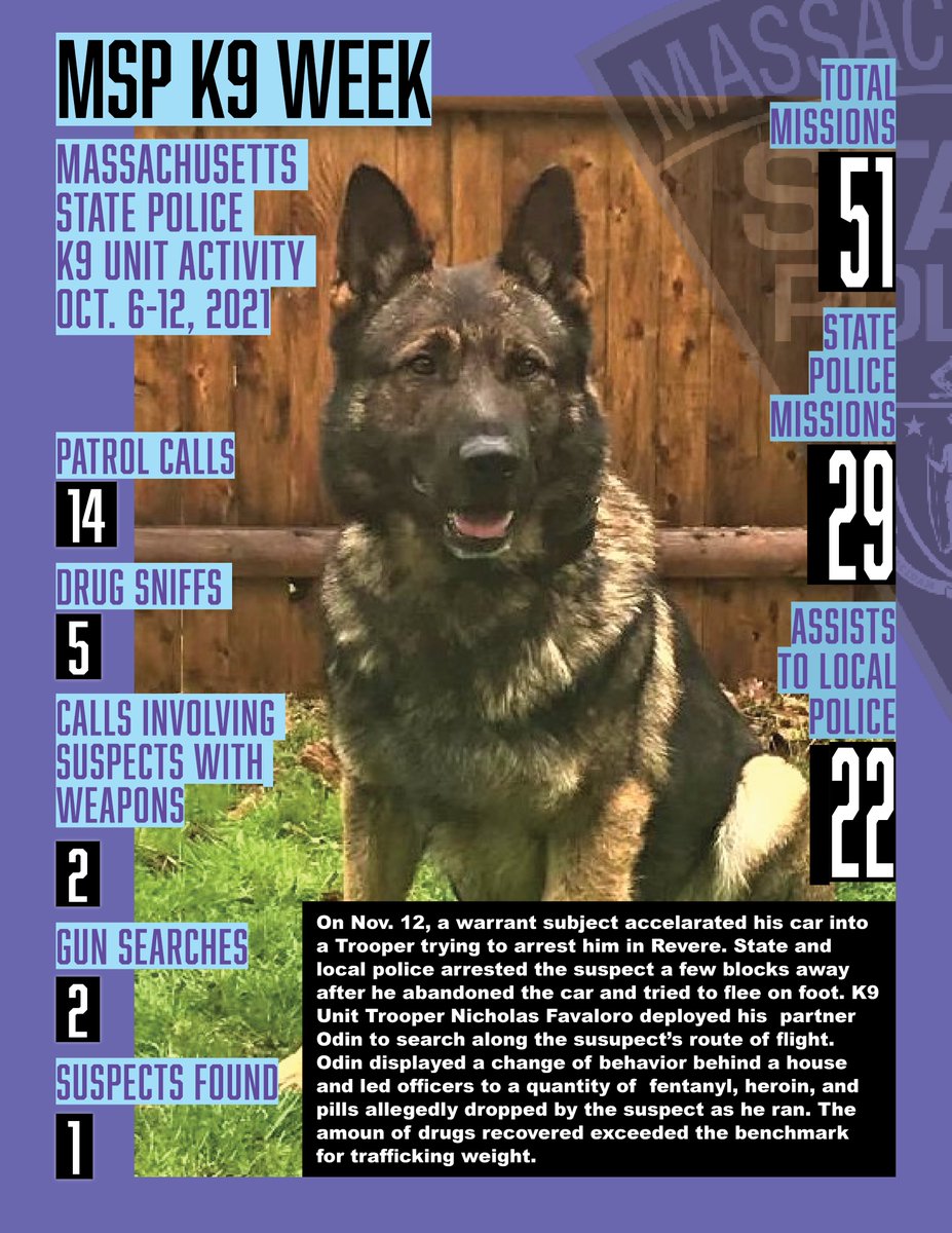 #K9strong