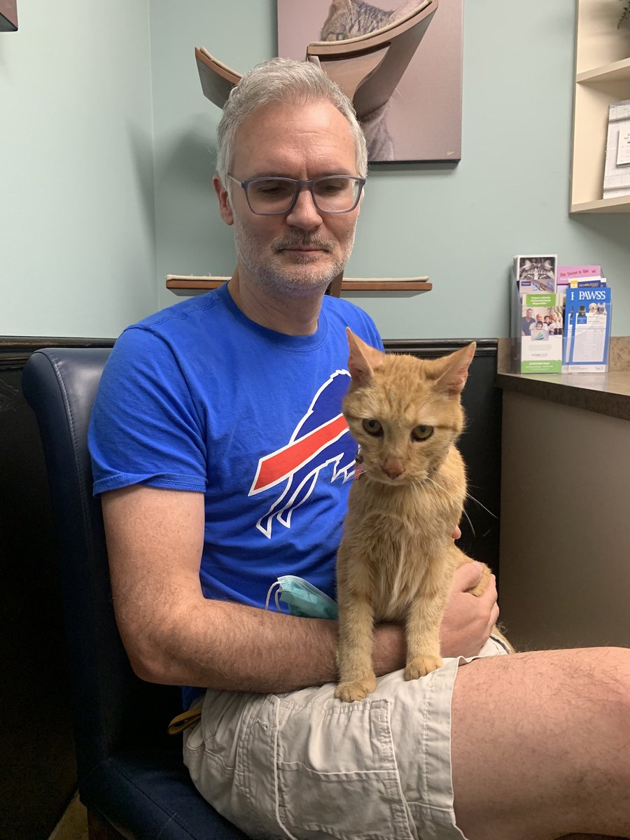 TheBusyOwl's tweet photo. Happy Thanksgiving from our lil furry orange family! Chicken’s hyperthyroidism is finally under control and gained 0.5 pounds in the last 4 weeks, Ozzy still dreams about playing with Chicken’s tail. #kittenproblems #kittyfam #myboyz https://t.co/Q3l7GxcPXm