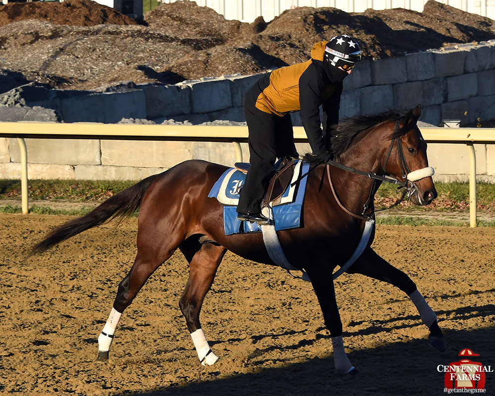Centennial_Farm's tweet photo. Buuuuuuusy morning at #BelmontPark with a whopping 126 half-mile breezes recorded! One of them? Greg's Honor. The two-year-old bounded through the breeze by himself. #goGreggo #StubbyStrong https://t.co/pbmTBcDq0m
