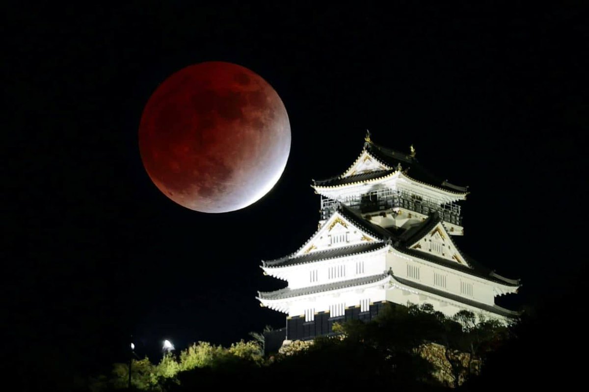 Когда ближайшее лунное затмение. Лунное затмение 19 ноября. Луна в Японии. Лунное затмение в Китае. Лунное затмение 2021.