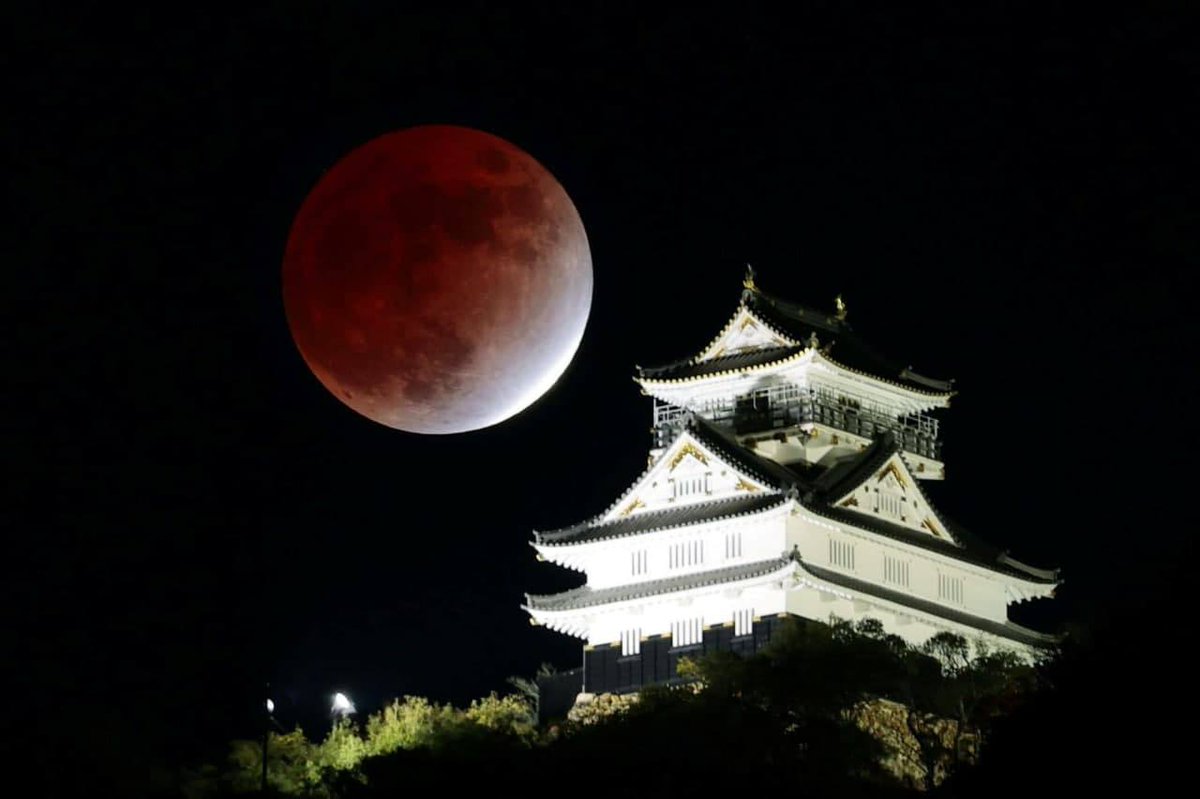 Lunar eclipse 2022. Лунное затмение ноябрь 2022. Затмение 2 ноября. Магическое затмение. Затмение солнца и луны.