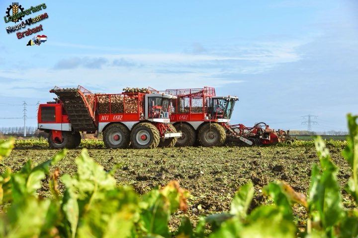 LoonbdrfKNUIT's tweet photo. Vorige week kwamen ze weet langs van @LoonwerkersNBVB voor onze broer en zus combinatie van @FransVervaetBV https://t.co/0SfTdV0ZEB