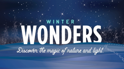familyfunyyz's tweet image. Winter Wonders at @rbgcanada in Burlington starts tonight! Wander Hendrie Park to revel in the garden's light displays, festive music and more!

Get your shine on through our website for more information! (Link in bio)

#familyfuntoronto #familyfunyyz #rbgcanada #burlington