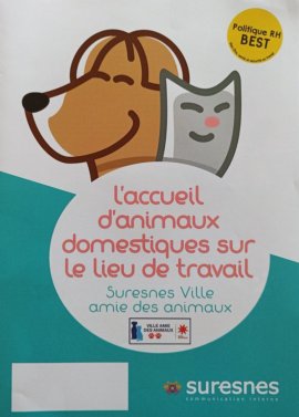 De_Lavalette_B's tweet photo. Interviewée par @France3tv ds les locaux de la DRH pour présenter notre accord pionnier &amp; unique en 🇲🇫, signé en 2020, pour l'accueil des chiens au bureau. 1 dispositif pr le bien-être au travail &amp; l'efficacité du service public, qui fait de + en + d'émules dans d'autres villes! https://t.co/PNKkb77aSO
