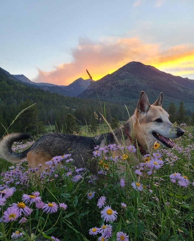 Making the most of the last flowers of the year!⁠
-⁠
-⁠
-⁠
-⁠
⁠

📸 instagram.com/p/CWq1T04lahB/ via tweet.photo