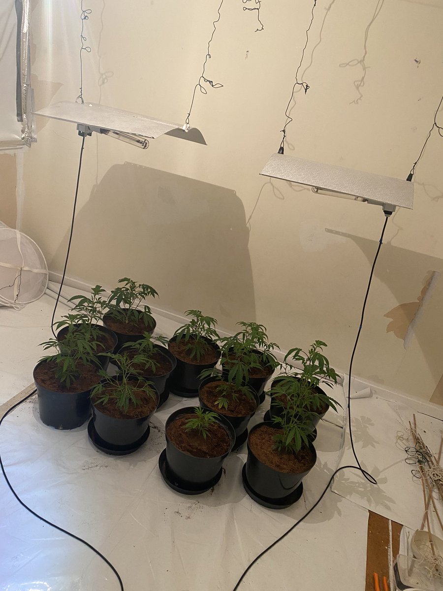 ChelmsleyWMP's tweet photo. #SolihullImpact | 2️⃣ warrants conducted by the team in #ChelmsleyWood today following community intelligence around drugs and theft of property 🚔‼️
YOU are the eyes and ears in the community and so we act on the info that you provide us…………….
Please keep it coming ⬇️👏 https://t.co/LhmR592ifx