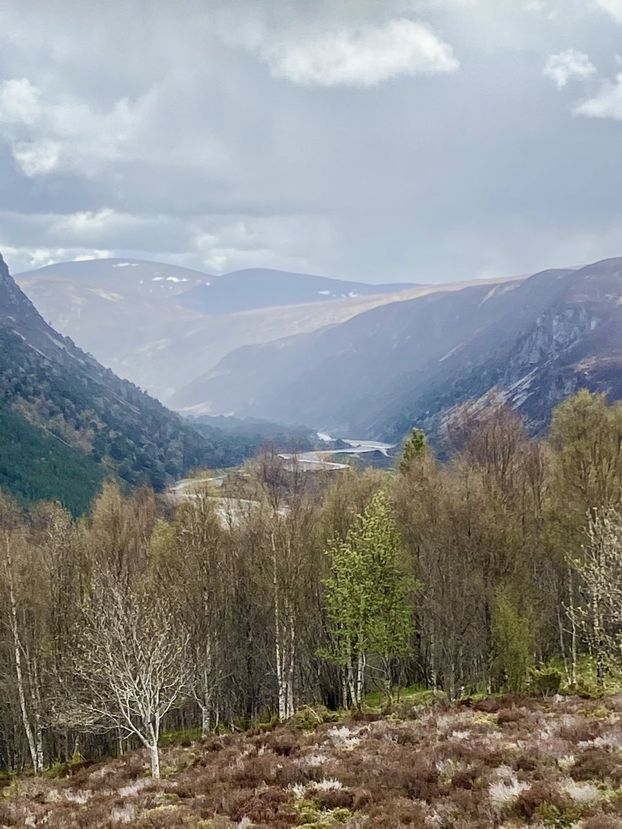 Bob Reid 🇺🇦🏴🇨🇦 tweet media