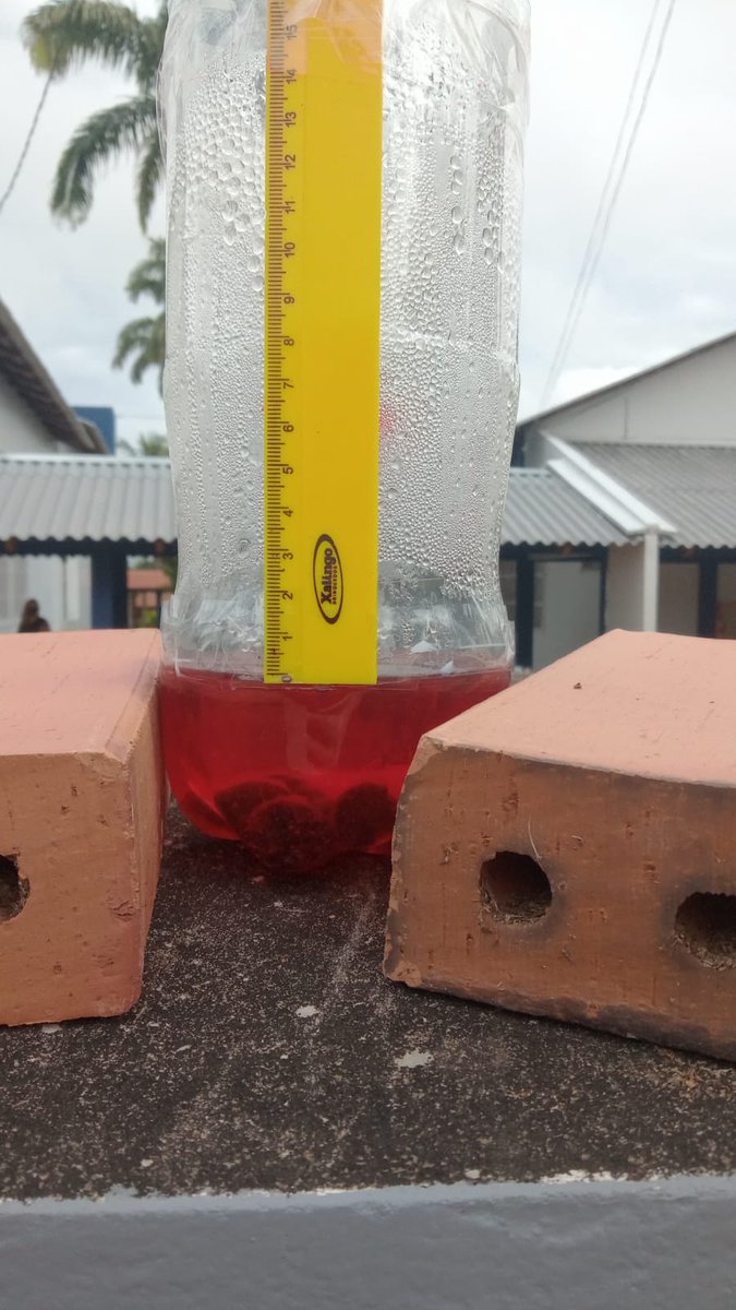 Lívia Degrossi tweet media