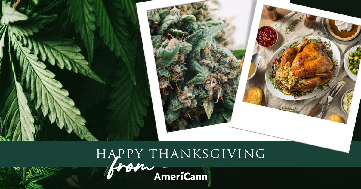 ACANINFO's tweet photo. Have a Happy Thanksgiving from #AmeriCann! If you're looking for (or just a little curious about) cannabis infused recipes* for Thursday, check out this article from the Denver Post: https://t.co/bDPUw5IUH2

*Use responsibly.

#cannabisinfusedrecipes #happythanksgiving https://t.co/s6P0R16qnN