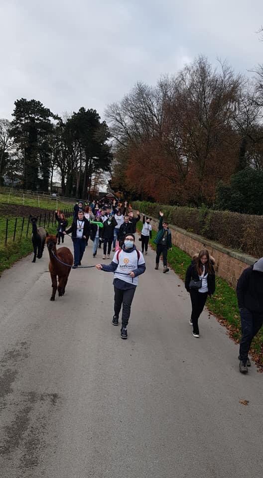 HeatonIha's tweet photo. So proud of our @CroxtethCampus students for completing their @NCS programme with @Catch22! They’ve had a brilliant time doing a Sponsored Alpaca Walk today to raise money for @AlderHeyCharity and @LivSunflowers. https://t.co/4OjljfmZFg