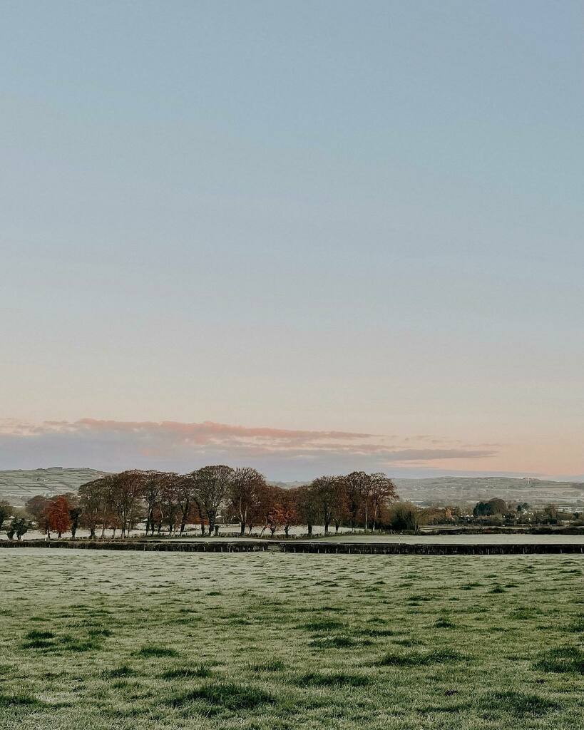 em_weir's tweet photo. The first frost at first light ❄️.
.
.
.
.
.
.
.
.#aseasonalshift #aseasonalyear #frostedfields #northernireland #mymagicalmorning #beautyundermynose #mycountrylife #countrystilllife #myeverydaymagic #smallmomentsofcalm #naturemoments #searchwandercollect #insta_ni #folkgree… https://t.co/rcQrwuRFCS