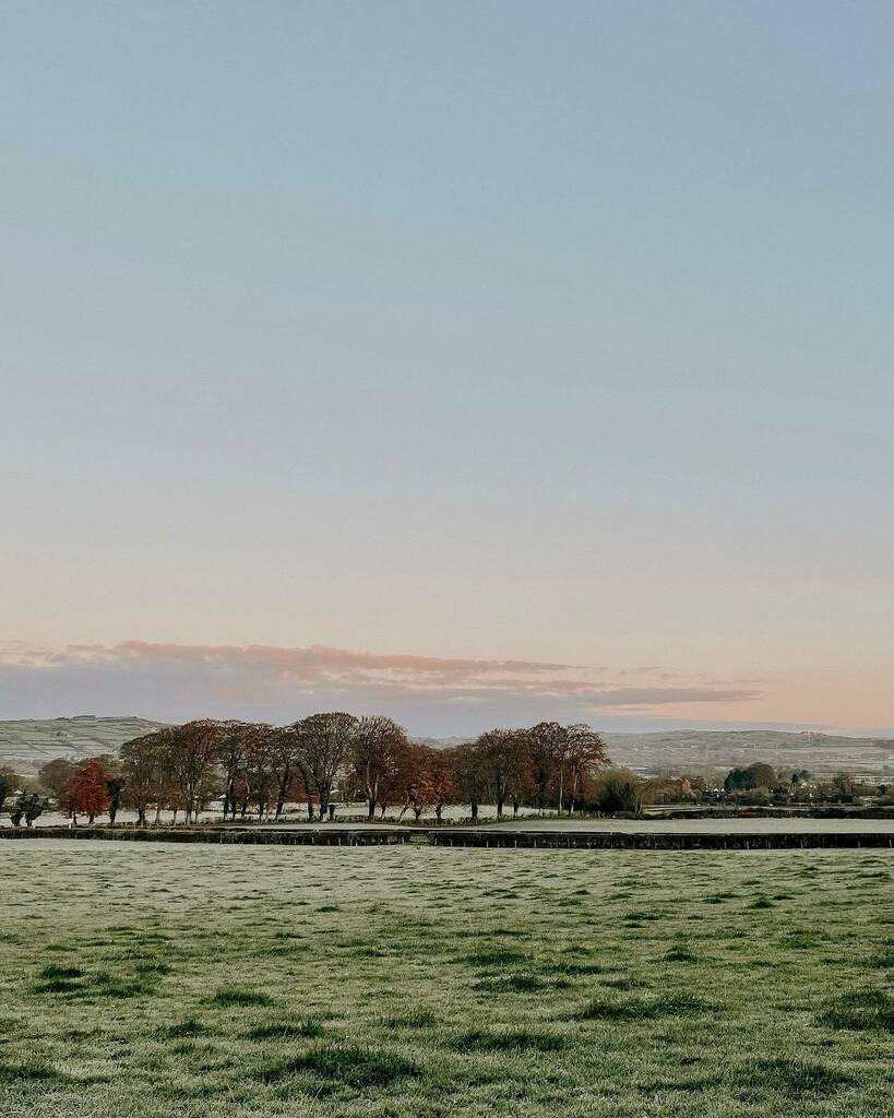 The first frost at first light ❄️.
.
.
.
.
.
.
.
.#aseasonalshift #aseasonalyear #frostedfields #northernireland #mymagicalmorning #beautyundermynose #mycountrylife #countrystilllife #myeverydaymagic #smallmomentsofcalm #naturemoments #searchwandercollect #insta_ni #folkgree…