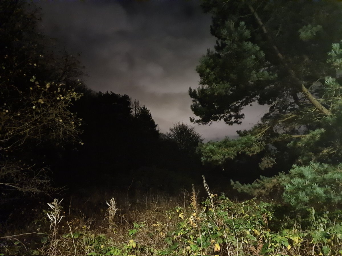 brass_bullets's tweet photo. untouchable darkness https://t.co/78AMH4YlN5