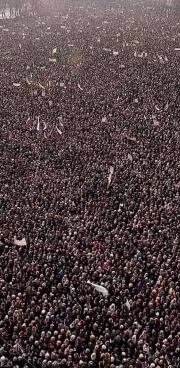 Blue Nose Bob 👀 tweet media