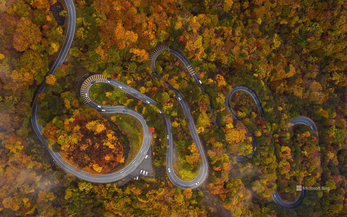 bing_gallery's tweet photo. Irohazaka road near Nikkō, Japan (© LightRecords/Shutterstock)
________________
#Irohazaka #road #Nikkō #Japan #Nature #Travel 
________________
Download picture ⏬ 
For PC 💻:
https://t.co/aZ0U7HPO7L
For Mobile 📱:
https://t.co/1iJAZM0N9X https://t.co/NgbLRTL54x