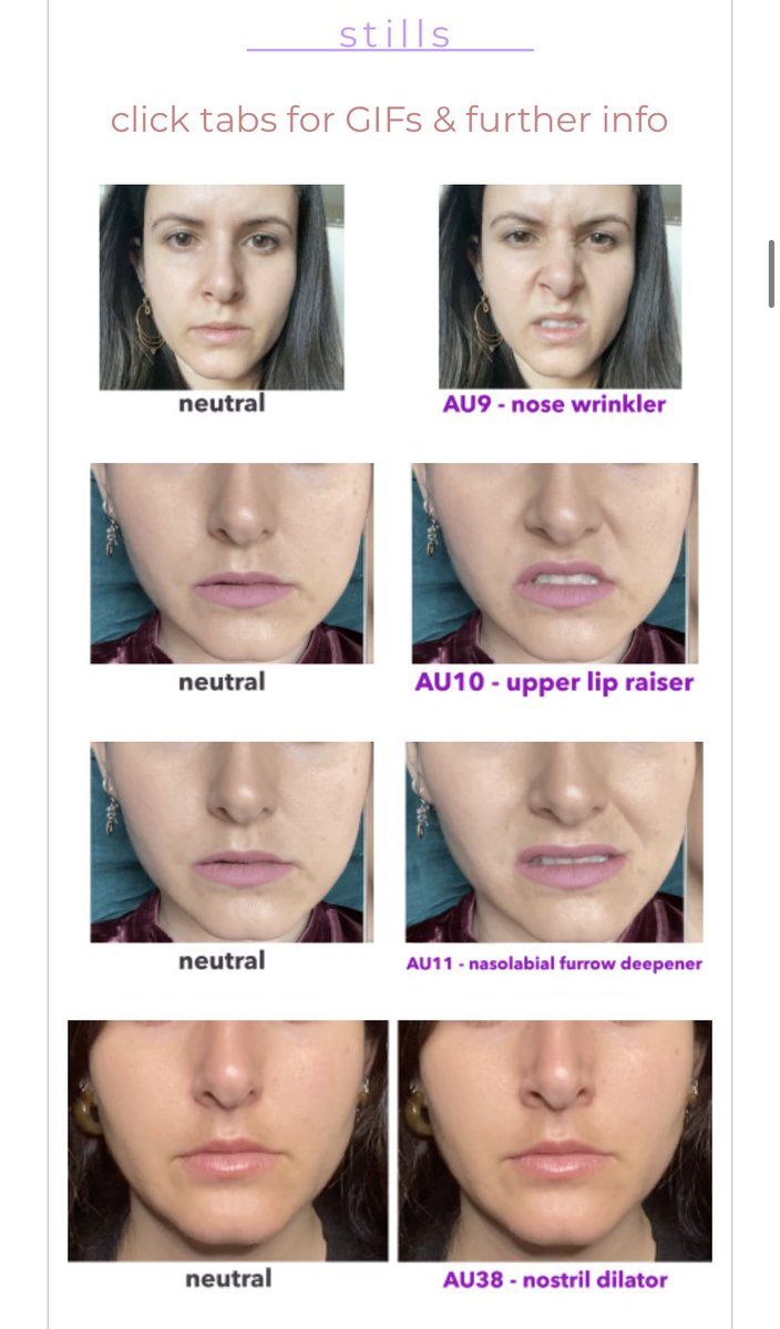 MelindaOzel's tweet photo. If you’re looking to learn about FACS, facial expressions, or facial anatomy - I’ve got some free resources and references to share with you :)
https://t.co/yinqTH4FkH
With still photos and GIFs!
#facs #animation #vfx #gamedev #characterdesign #facetech https://t.co/BRLSprTWpu