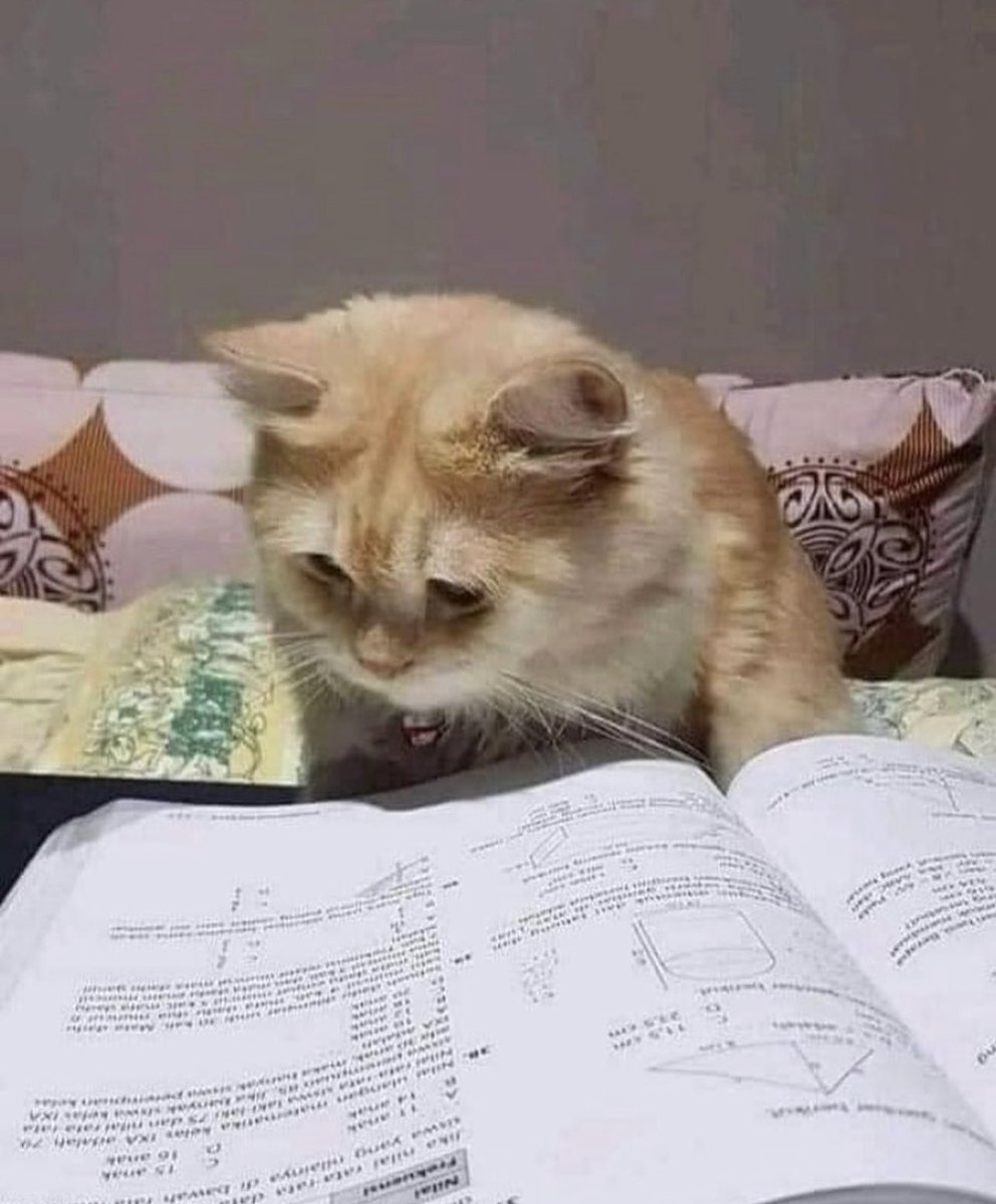 contextpets's tweet image. Math