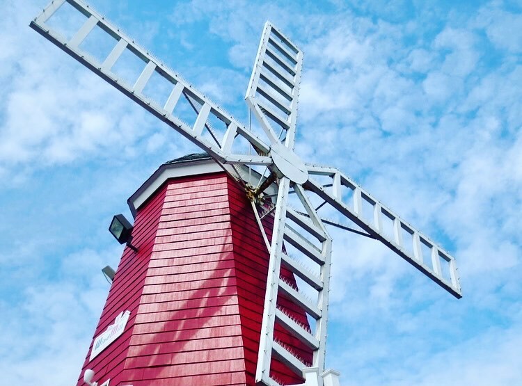 WindMillHotDogs's tweet photo. WindMill Happy ๐ #windmillhappy https://t.co/1Slz703wBu