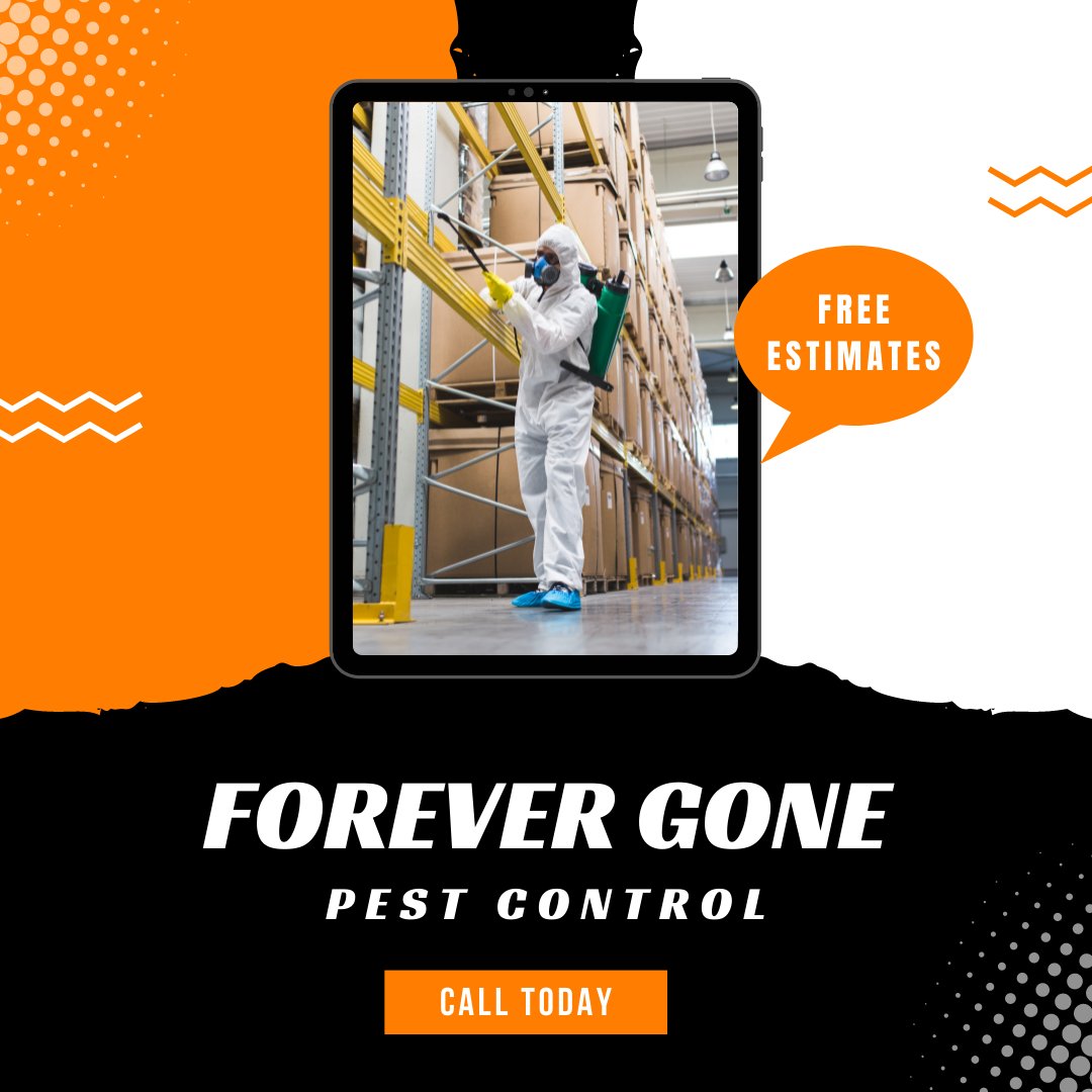 ForeverGonePC's tweet photo. Give us a call for all of your pest control needs!

BROWARD (954) 972-2318
PALM BEACH (561) 509-7155

#fall #pest #pestcontrol #southflorida #palmbeach #broward #bugs #forevergonepestcontrol #residential #commercial https://t.co/HzHcbWpME4